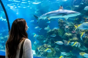 Review del Acuario Michin Zapopan: ¿vale la pena?
